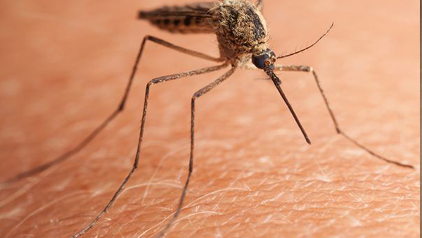 best pediatrician in dubai