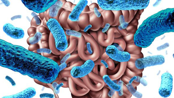 best pediatrician in dubai