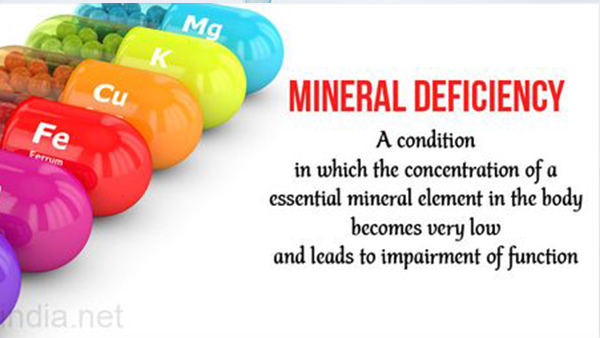 best pediatrician in dubai