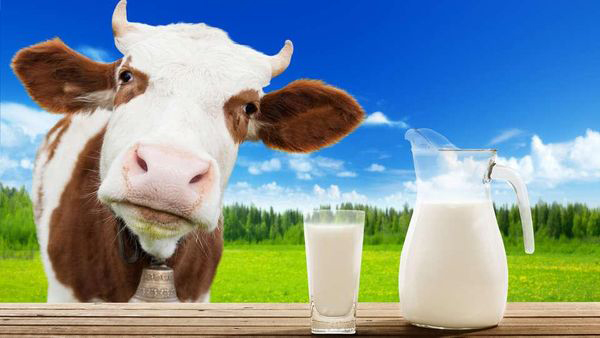 best pediatrician in dubai